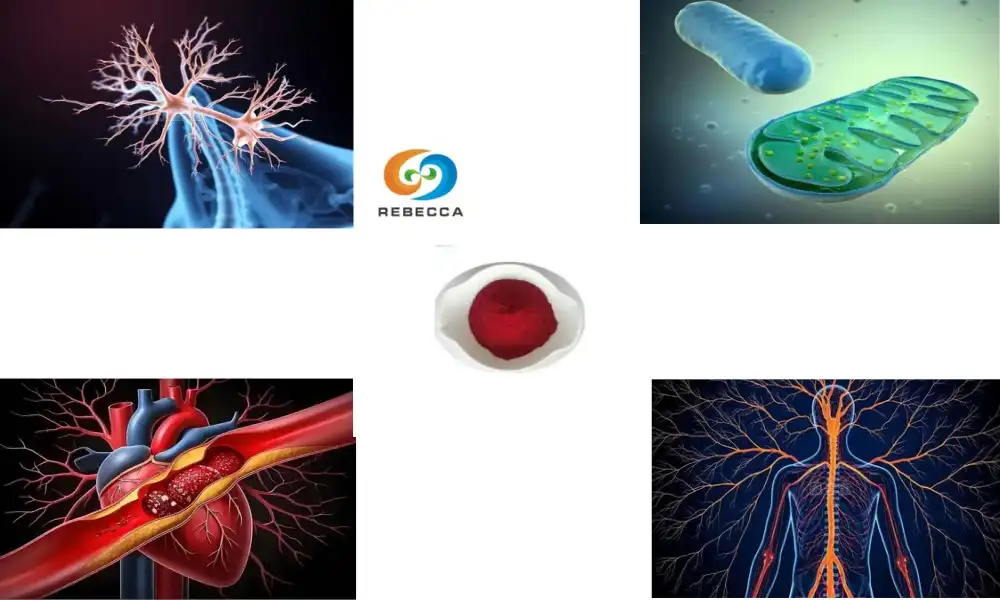 What Is PQQ Disodium Salt? A Complete Ingredient Overview What Is PQQ Disodium Salt? A Complete Ingredient Overview